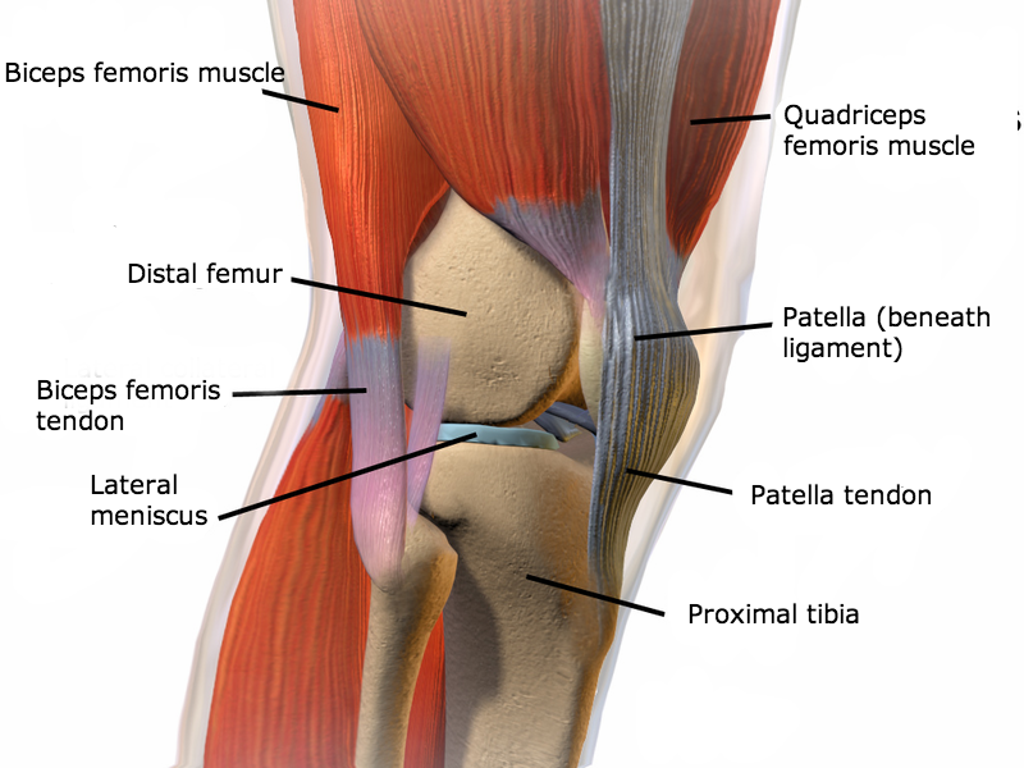 Knee Pain - Osteopathic Life Clinic